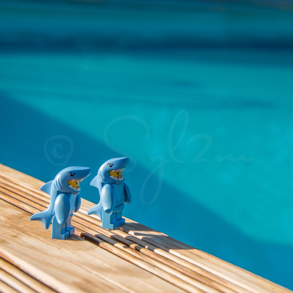 Lego Dauphin à la piscine