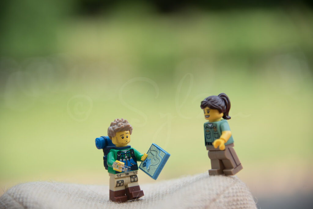 Lego l'aventurier perdu