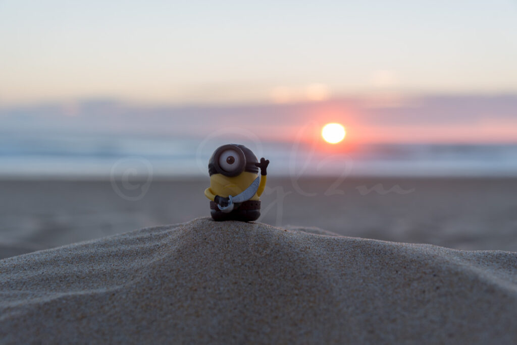 Minion corsaire sur la plage au coucher de soleil