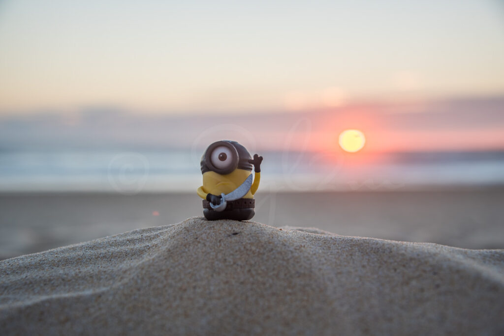 Minion corsaire sur la plage au coucher de soleil