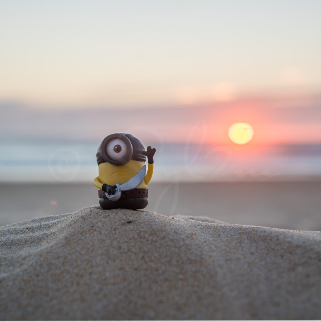 Minion corsaire sur la plage au coucher de soleil