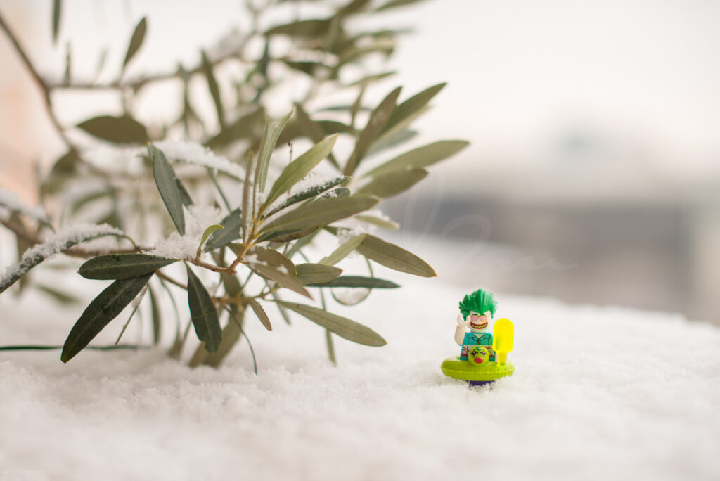 Joker Lego dans la neige