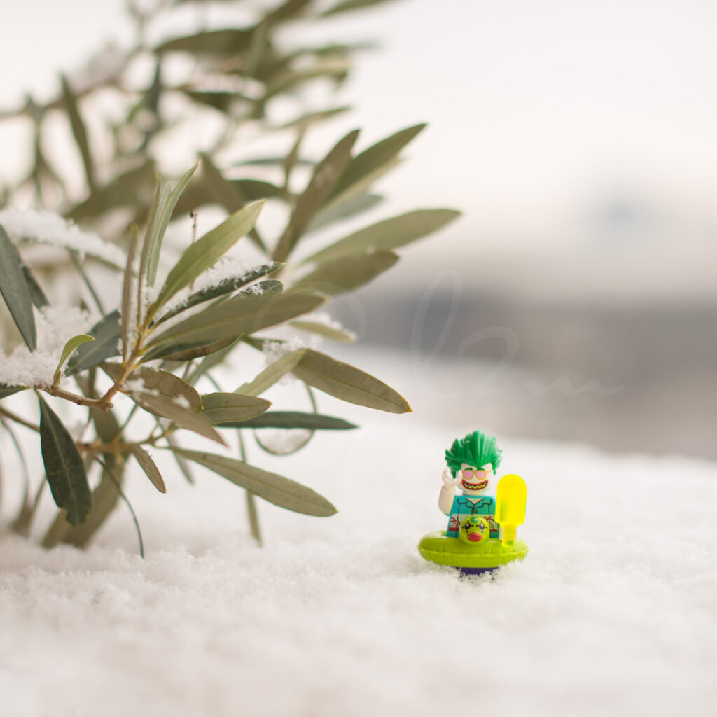 Joker Lego dans la neige