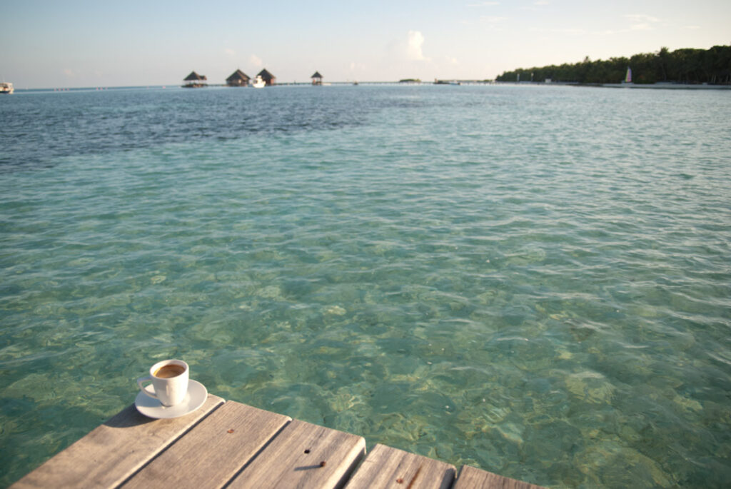 Un café aux Paradis